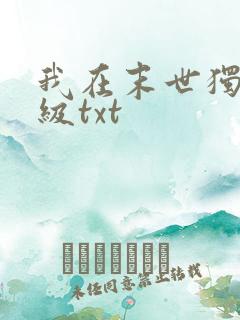 我在末世独自升级txt