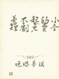 惹不起的小赘婿短剧免费全集免费播放