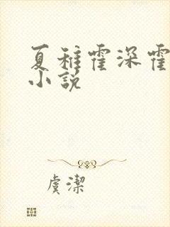 夏稚霍深霍栖野小说
