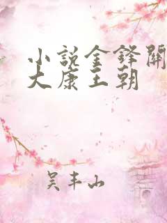 小说金锋关晓柔大康王朝