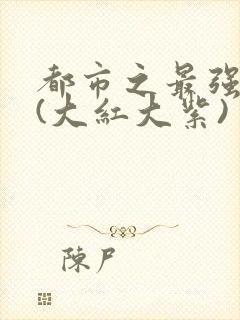 都市之最强狂兵(大红大紫)