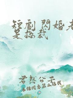 短剧 闪婚老公是总裁