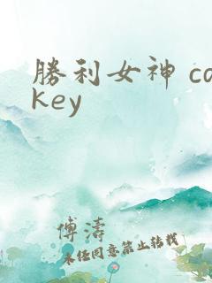 胜利女神 cdkey