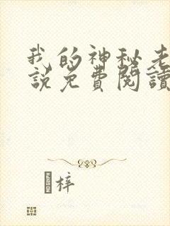 我的神秘老公小说免费阅读全文