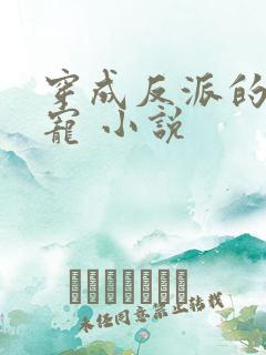 穿成反派的心尖宠 小说