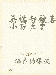 无端却被春风误小说免费