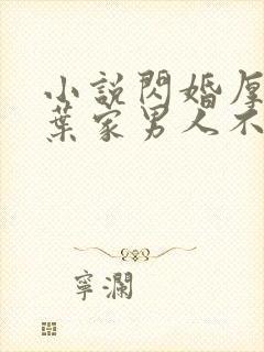 小说闪婚厚爱:叶家男人不离婚免费看