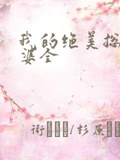 我的绝美总裁老婆全