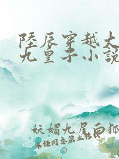 陆辰穿越大夏国九皇子小说