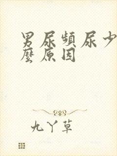 男尿频尿少是什么原因