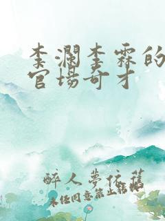 李澜李霖的小说官场奇才