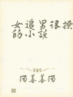 女追男很撩很撩的小说