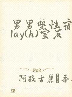 男男双性宿舍play(h)室友