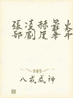 张凌赫最火的三部剧度华年