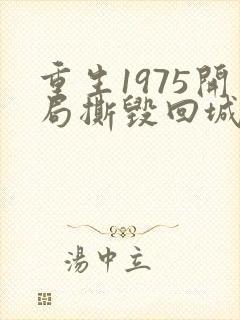 重生1975开局撕毁回城调令笔趣阁