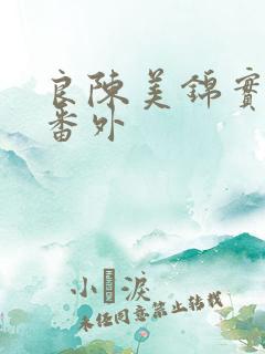 良陈美锦实体书番外