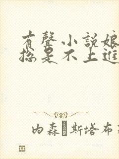 有声小说娘娘她总是不上进