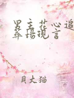 男主花心追妻火葬场现言