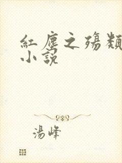 红尘之殇类似的小说