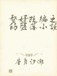 赘婿改编之众女的堕落小说结局