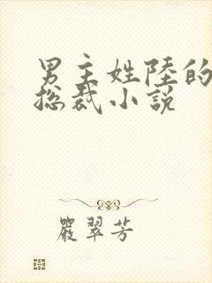 男主姓陆的所有总裁小说