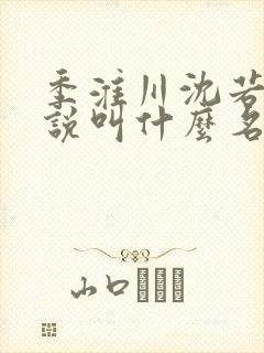 季淮川沈若初小说叫什么名字