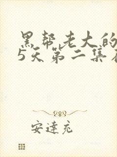 黑帮老大的365天第二集在线看免费