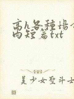 高h各种场合全肉短篇txt