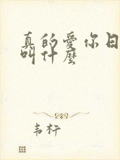 真的爱你日语版叫什么