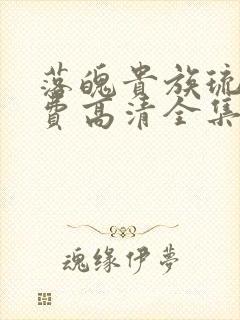 落魄贵族琉璃免费高清全集在线观看