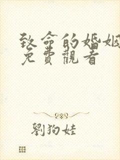 致命的婚姻短剧免费观看