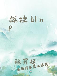 总攻 bl np