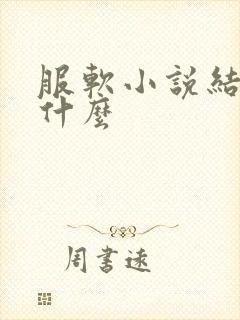 服软小说结局是什么