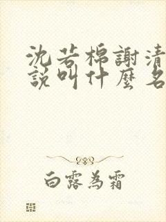 沈若棉谢清樾小说叫什么名字