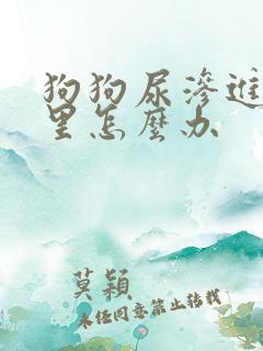 狗狗尿渗进地板里怎么办