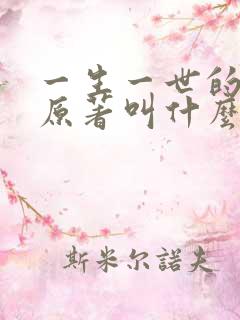 一生一世的小说原著叫什么名字