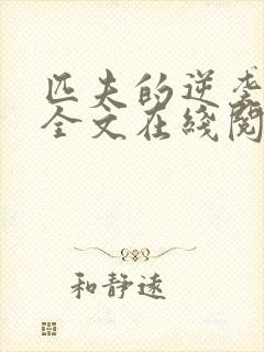 匹夫的逆袭小说全文在线阅读