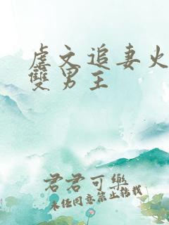 虐文追妻火葬场双男主