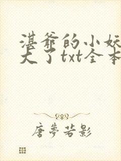 湛爷的小妖精长大了txt全本下载