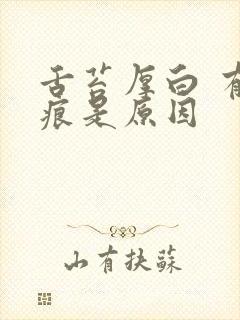 舌苔厚白 有齿痕是原因