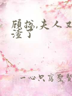 顾总,夫人又虐渣了