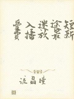 爱入迷途短剧免费播放最新集数