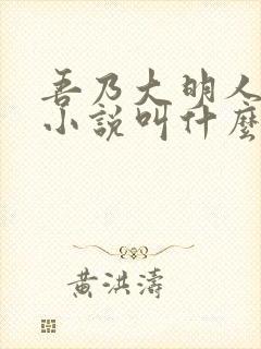 吾乃大明人原著小说叫什么名字