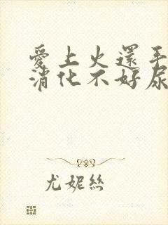 爱上火还手脚凉消化不好尿频失眠