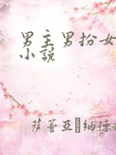 男主男扮女装的小说