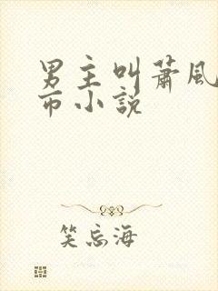 男主叫萧风的都市小说