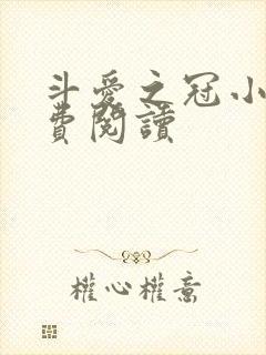 斗爱之冠小说免费阅读