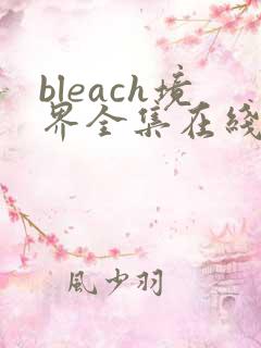 bleach境界全集在线免费观看