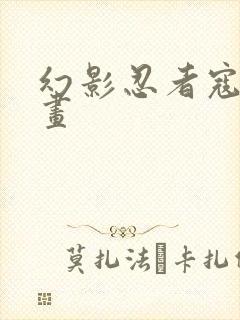 幻影忍者寇简笔画