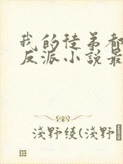 我的徒弟都是大反派小说最新更新